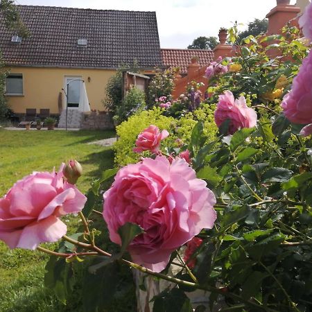 Strandhaus Mariflor Brook Экстерьер фото